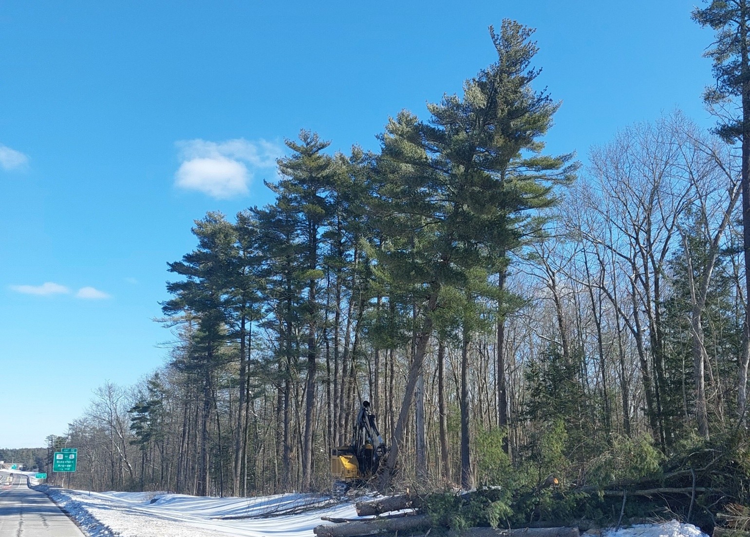 A-feller-buncher-cuts-at-tree-at-mile-30-in-January-2025.jpg
