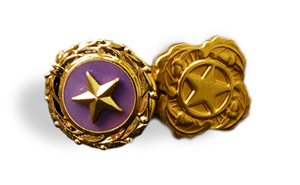 goldstarpinnextofkinpin.jpg