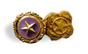 goldstarpinnextofkinpin.jpg goldstarpinnextofkinpin.jpg